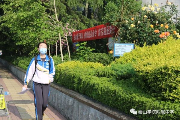 "昔去雪如花,今来花似雪-泰山学院附属中学迎来毕业年级复课第一天